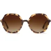 Sophia | Iberia|KREWE Store